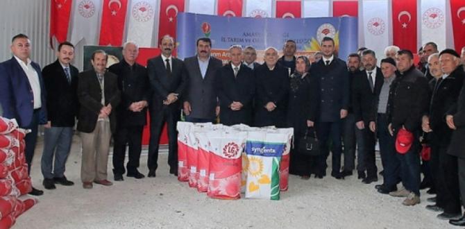 Amasya’da Çiftçilere Ayçiçeği Tohumu Desteği