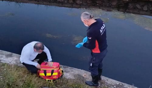 Amasya’da Balıklar, Tokat’ta Kazlar Öldü