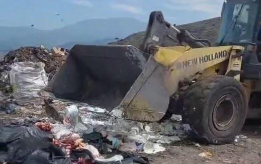 Amasya’da Sahte Gıda Operasyonu 24 İşletmeye Ceza
